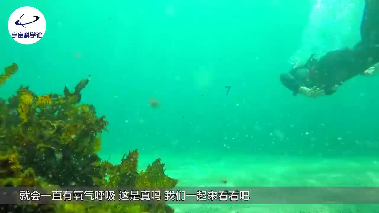 影响孩子高效学习的雷区有哪些游戏画面